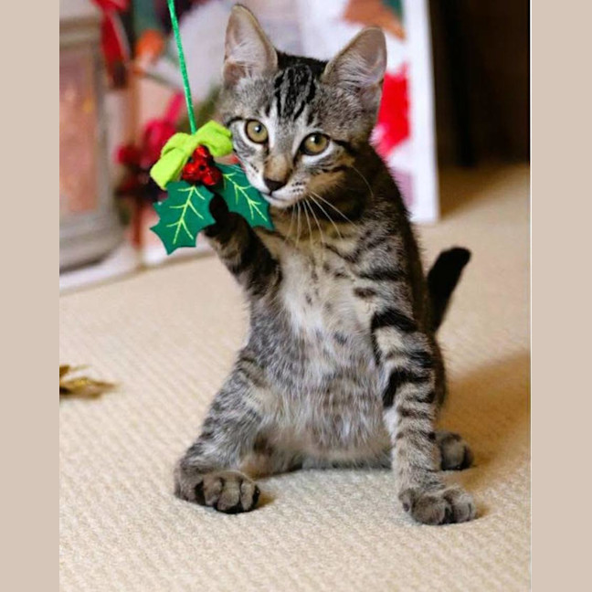 Photo of Scrooge