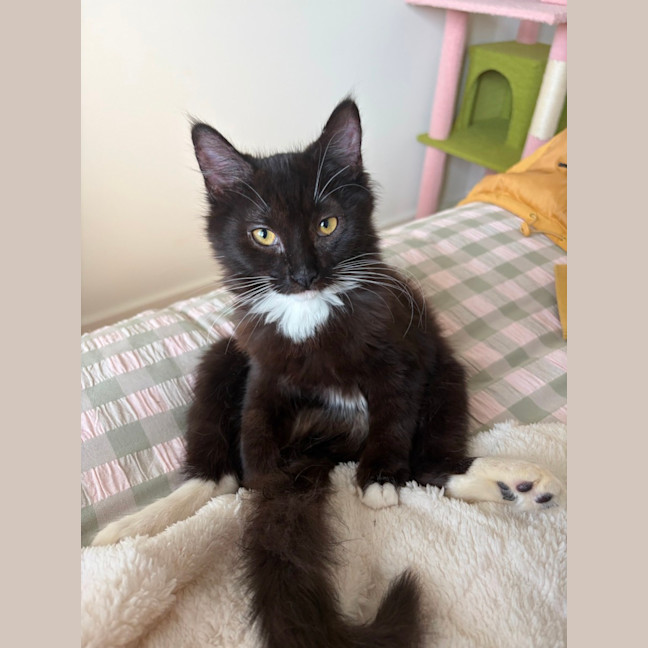 Photo of Buttons