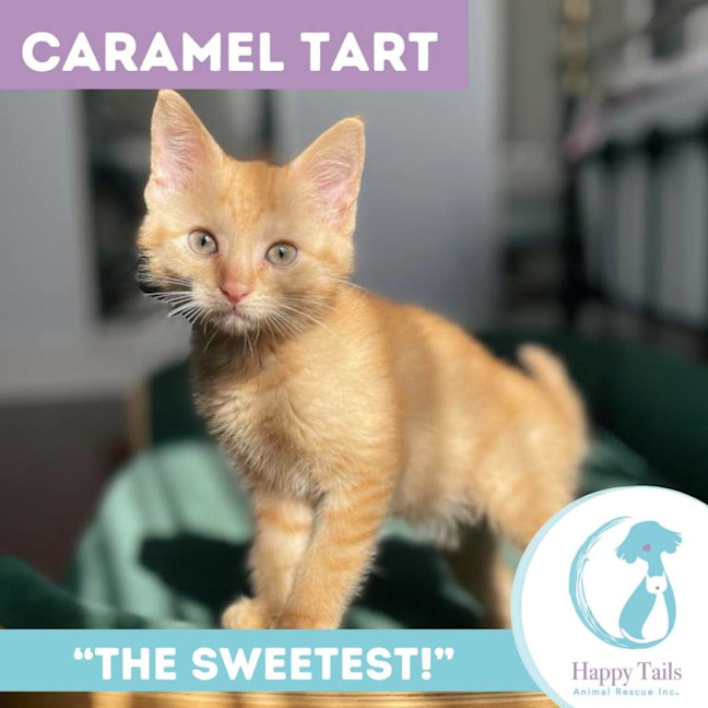 Photo of Caramel Tart