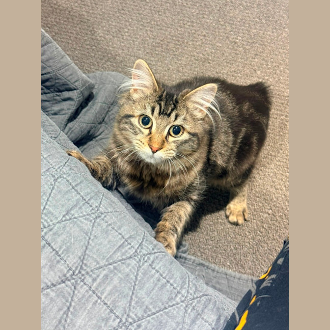 Photo of Goob