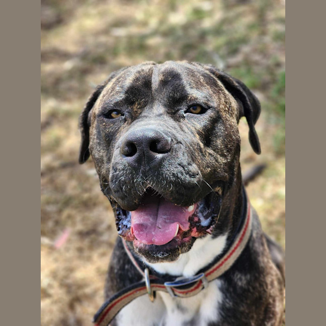 Photo of 🥛 Eggnog 5520 🥛