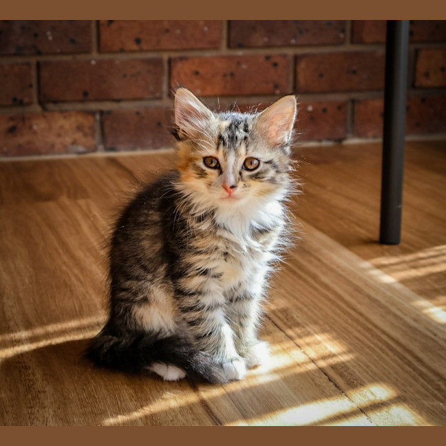 Photo of Katie
