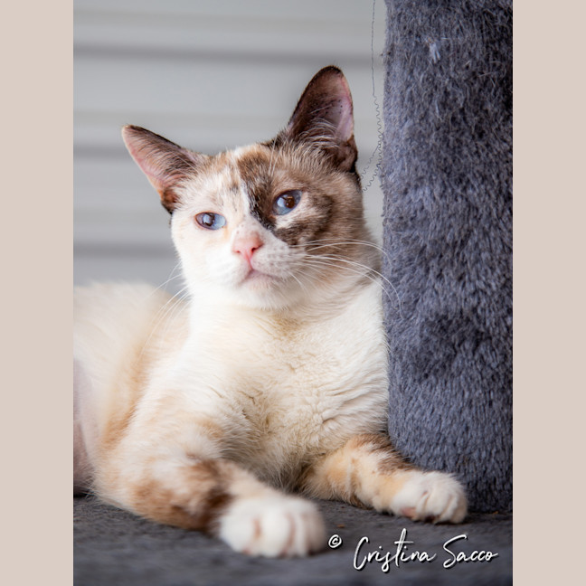 Photo of Chloe