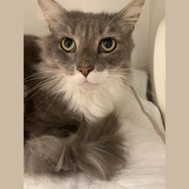 Photo of Max