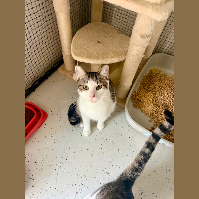 Photo of Juni