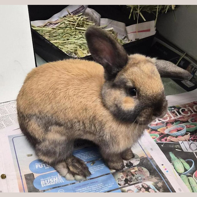 Photo of Wilbun