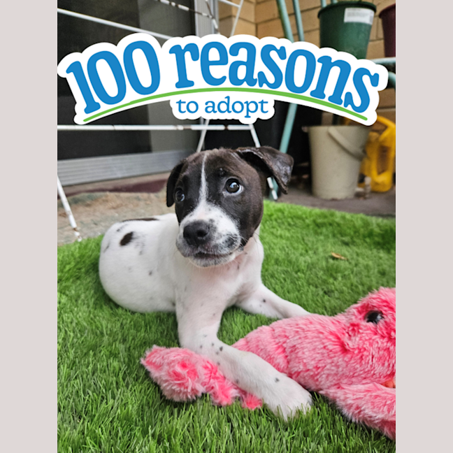 Photo of Dorothy Anne