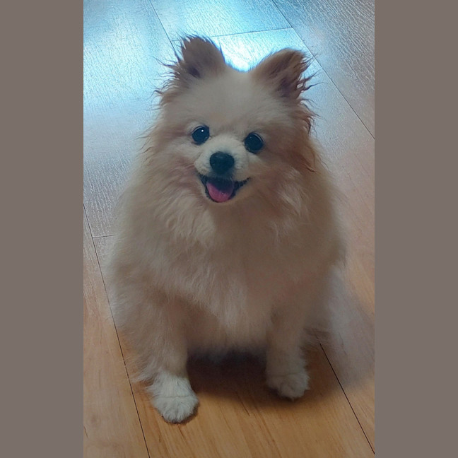 Photo of Princess