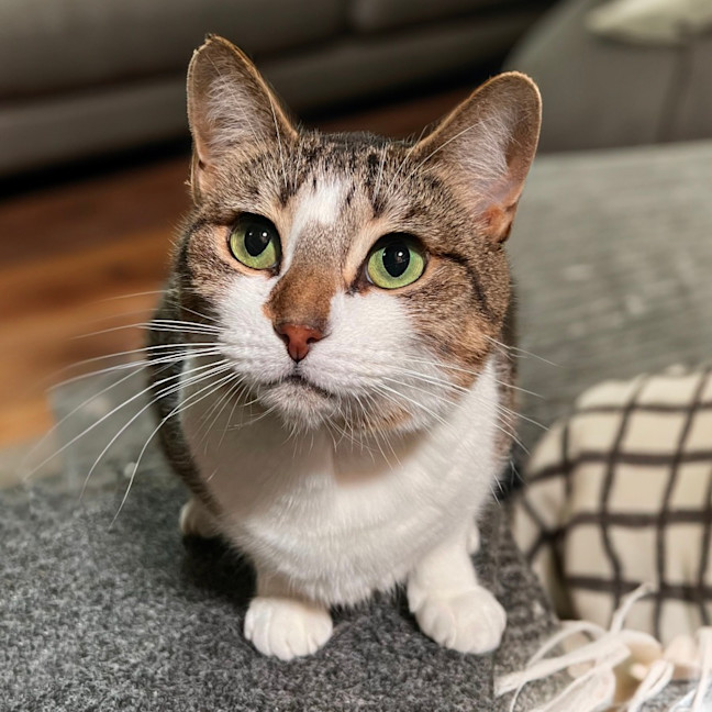 Photo of Effie & Kate