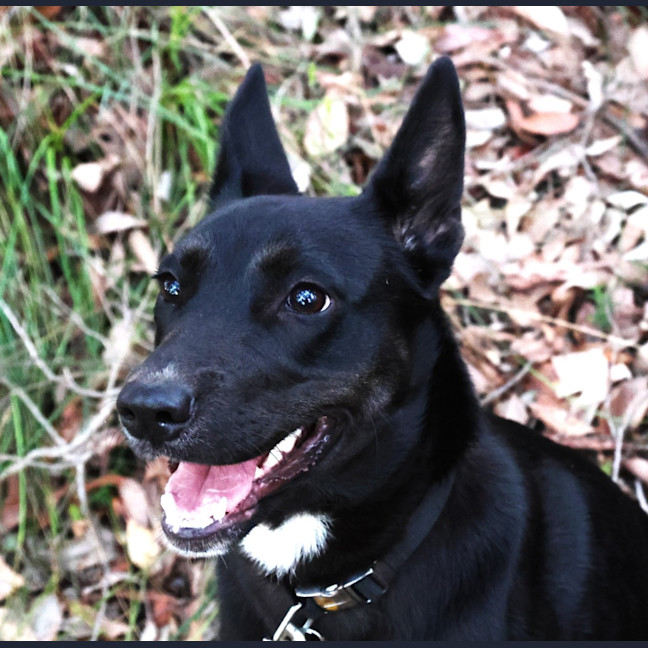 Photo of Sally