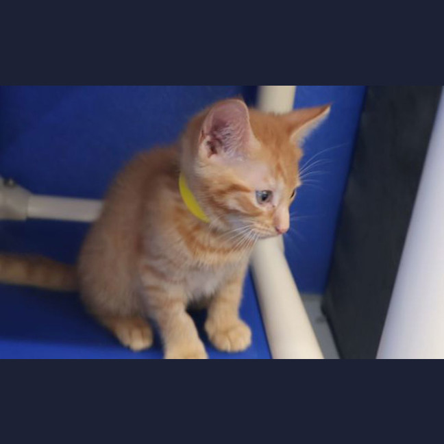 Photo of Stanley