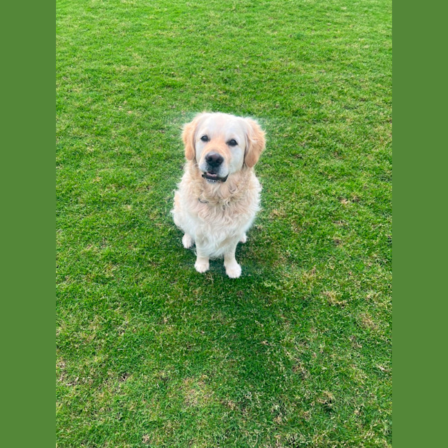 Photo of Digger