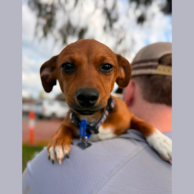 Photo of Happy
