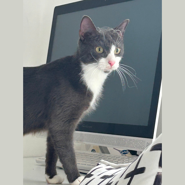 Photo of Daphne