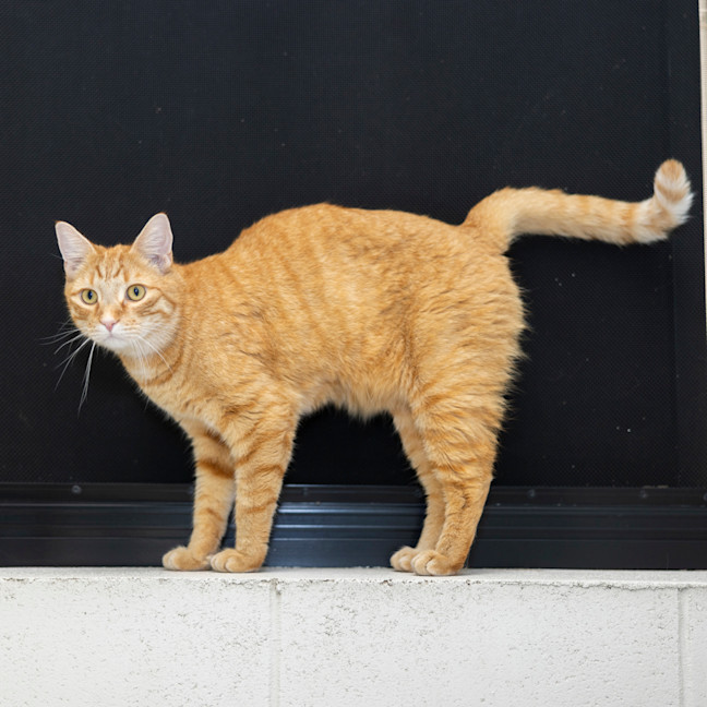 Photo of Archie Boi (Previously Archie)