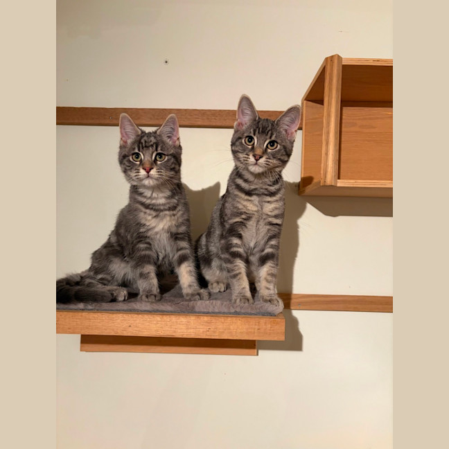 Photo of Larry