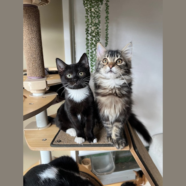 Photo of Jack & Jupiter