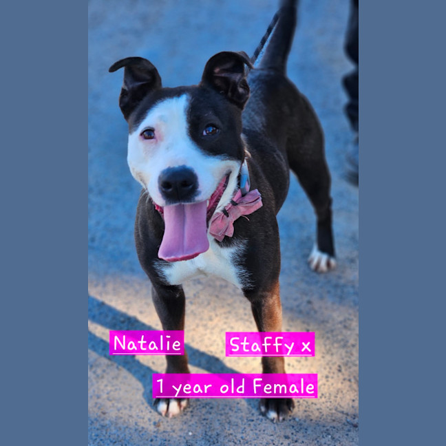 Photo of Natalie
