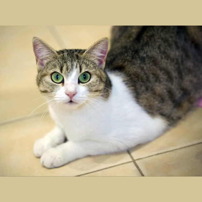 Photo of 🌷 Mia 🌷