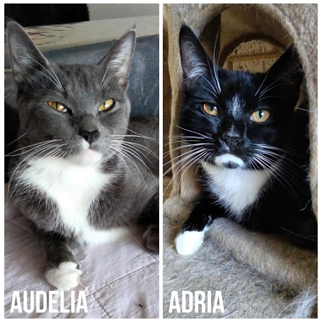 Photo of 14170 & 14171   Audelia & Adria