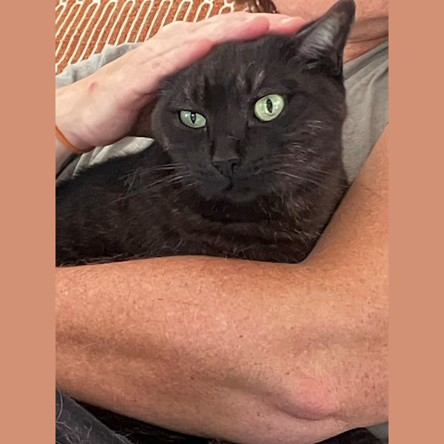 Photo of Miffy