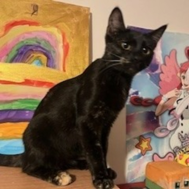 Photo of Mystic