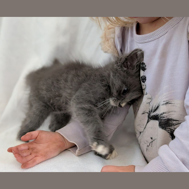 Photo of Mooni