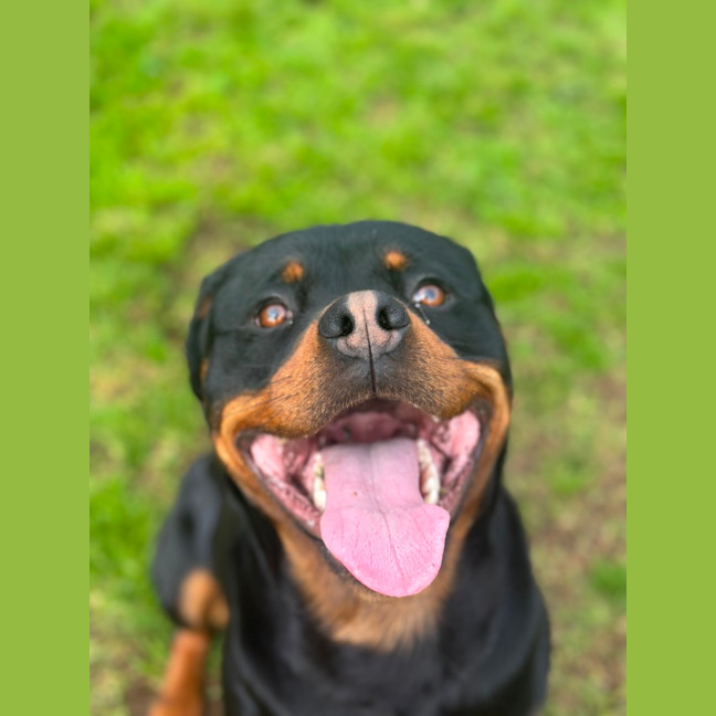 Photo of Max