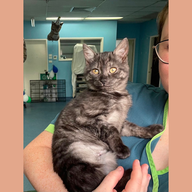 Photo of Mary Kate And Ashley