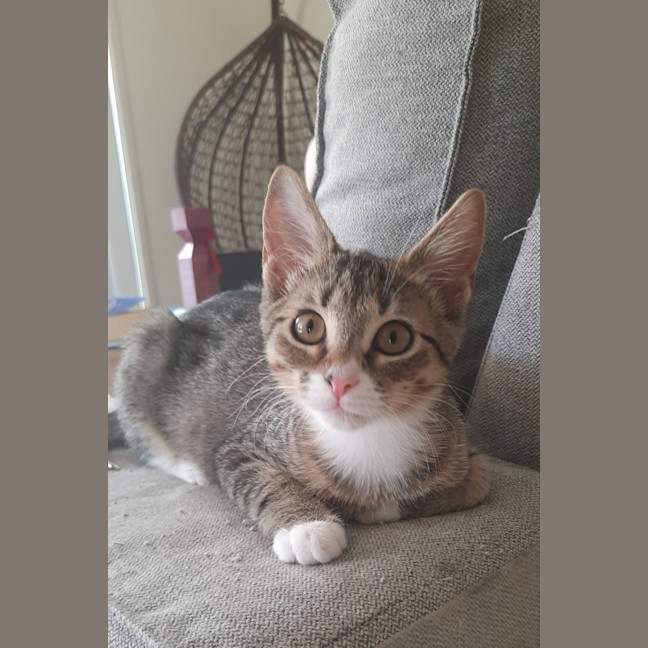 Photo of Marie