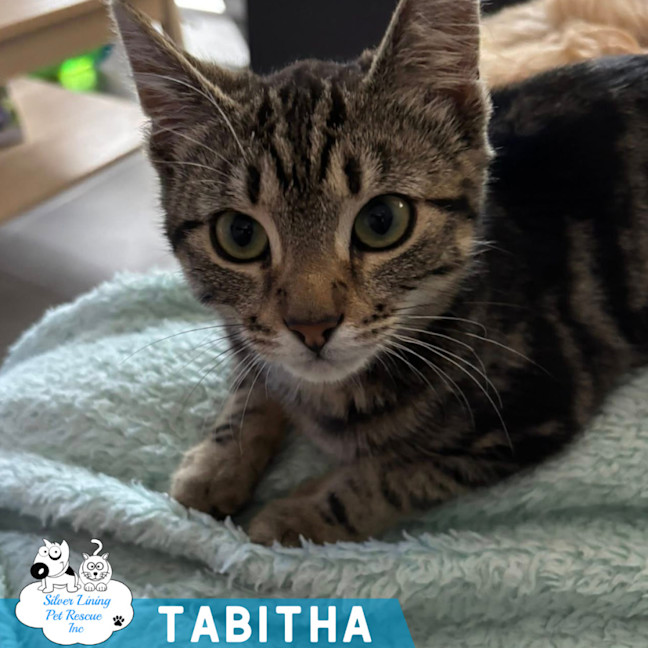 Photo of Tabitha