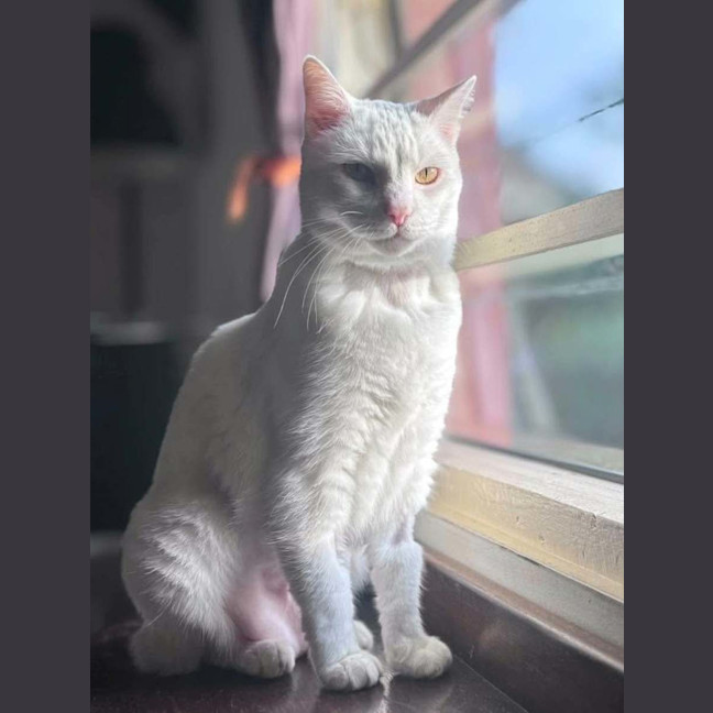 Photo of Billy 