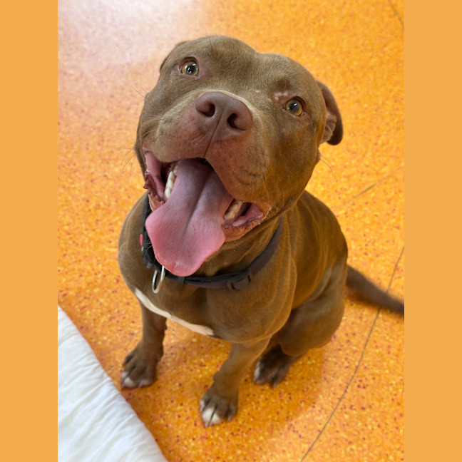 Photo of Jasper