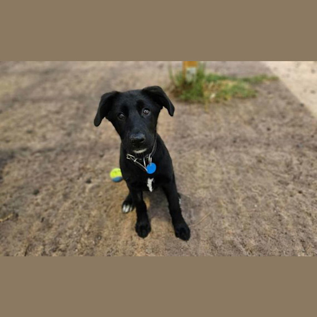 Photo of Sally
