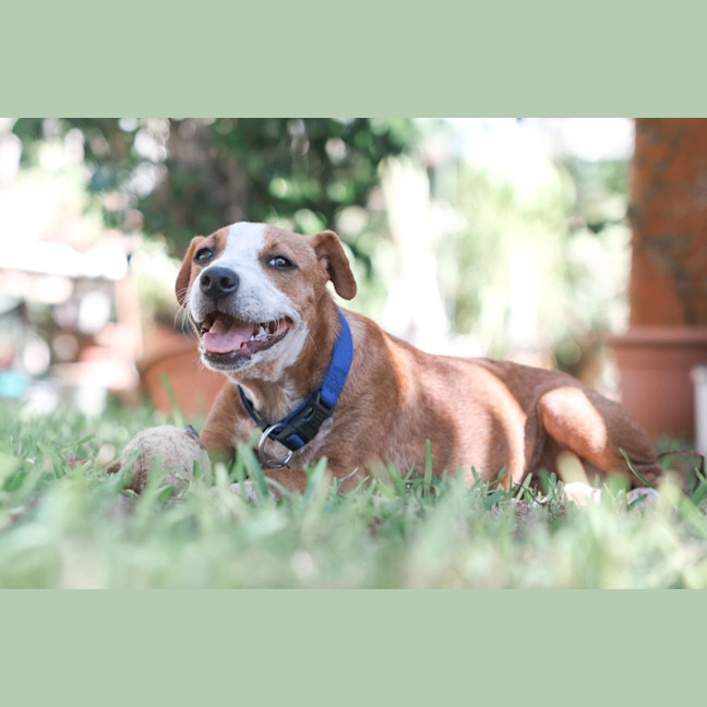 Photo of Gertie