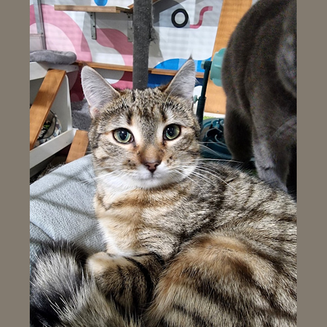 Photo of Little Legs