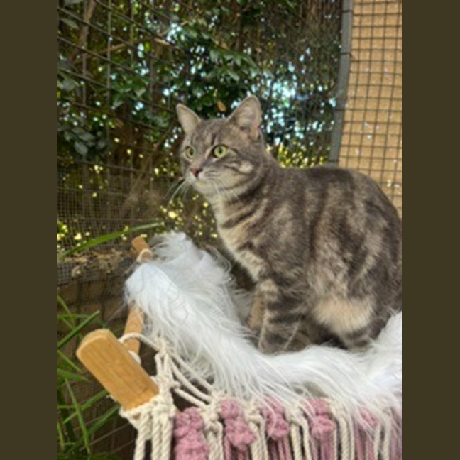 Photo of Sidney