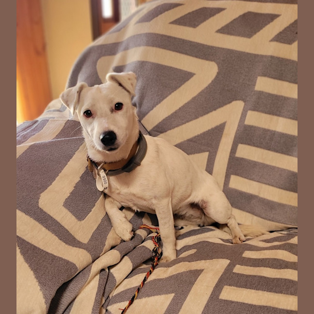 Photo of Flossy
