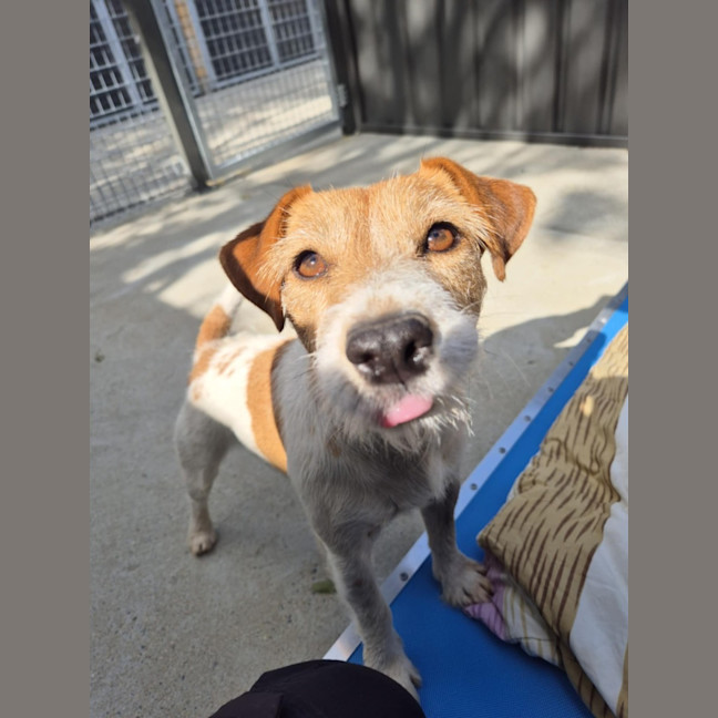 Photo of Aggie! 🌻