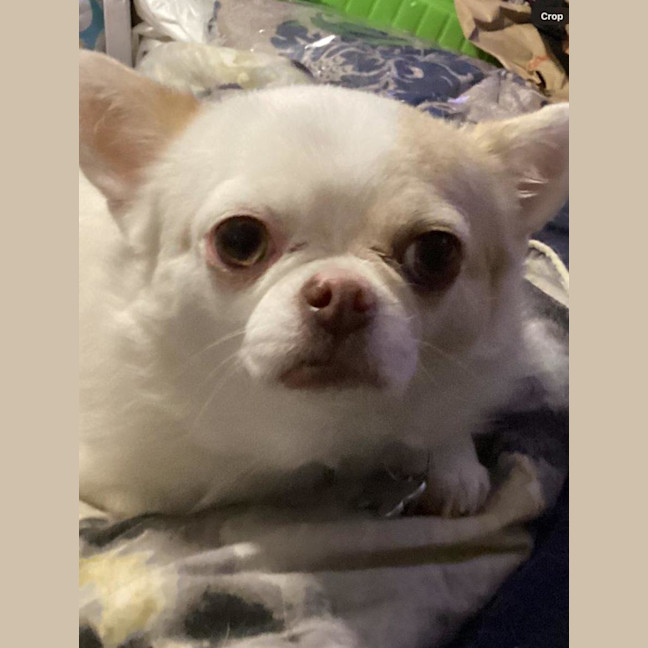 Photo of Goose And Stevie Uffelman