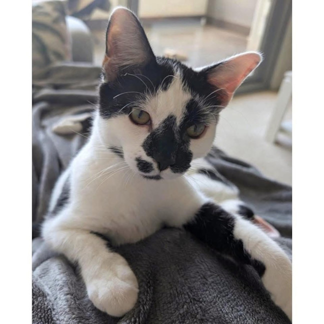 Photo of 12057   Drogo 