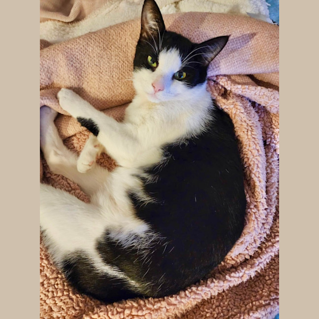 Photo of Oliver