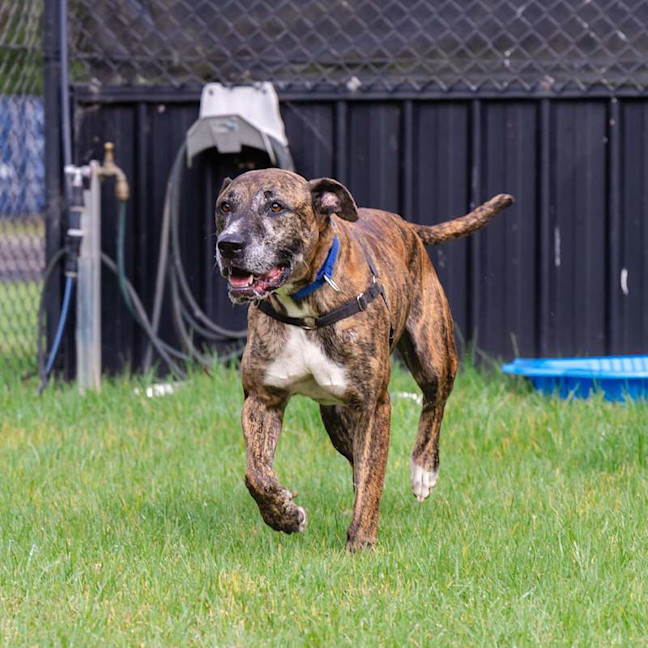 Photo of Milly