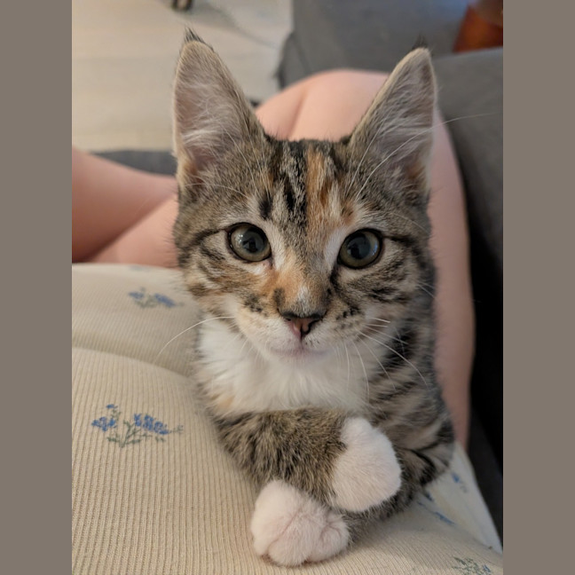 Photo of Nikki Webster 😽