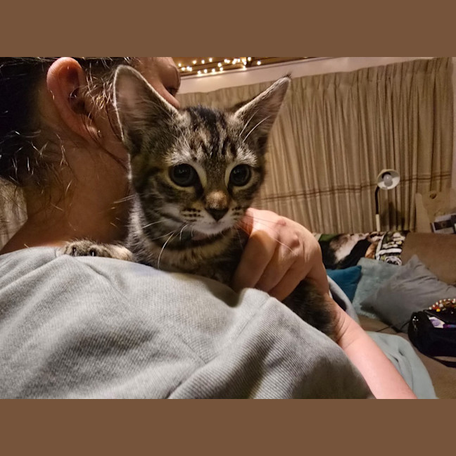 Photo of Agnes Addams