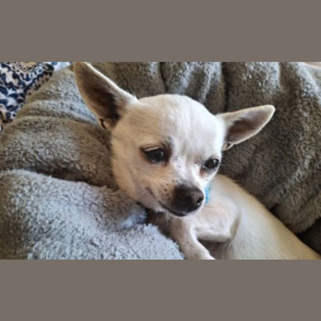 Photo of Suzie
