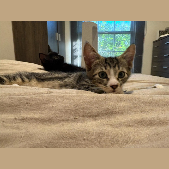 Photo of Bootsie Malone