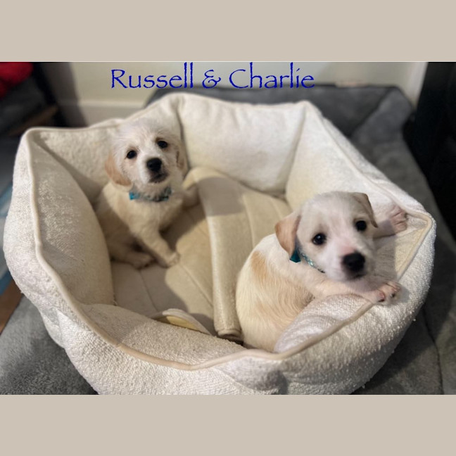 Photo of Russell