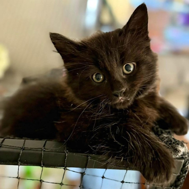 Photo of 12416   Maui