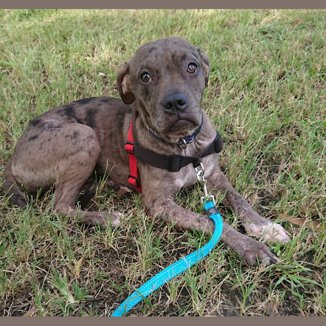 Photo of Amara